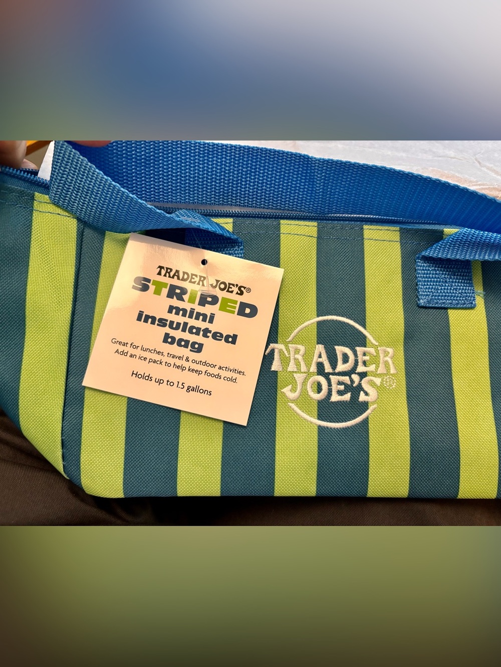 Set of 2 STRIPED TJ’s Trader Joe’s MINI Insulated Totes Limited SUMMER 2026 🩷💙 - Picture 4 of 6